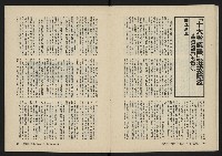 《美麗島NO.2》藏品圖，第14張