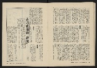 《美麗島NO.2》藏品圖，第22張