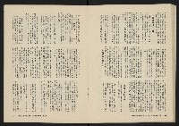 《美麗島NO.2》藏品圖，第25張