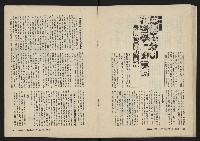 《美麗島NO.2》藏品圖，第27張