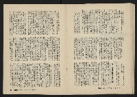 《美麗島NO.2》藏品圖，第29張