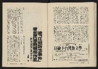 《美麗島NO.2》藏品圖，第32張