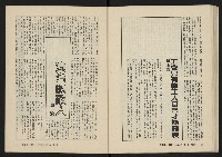 《美麗島NO.2》藏品圖，第34張