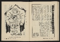 《美麗島NO.2》藏品圖，第35張