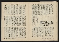 《美麗島NO.2》藏品圖，第39張