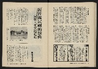 《美麗島NO.2》藏品圖，第40張