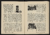 《美麗島NO.2》藏品圖，第41張