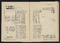 《美麗島NO.2》藏品圖，第45張