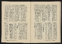 《美麗島NO.2》藏品圖，第48張