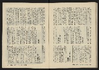 《美麗島NO.2》藏品圖，第53張