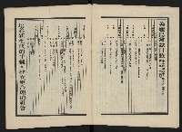 《美麗島NO.3》藏品圖，第3張