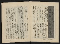 《美麗島NO.3》藏品圖，第4張