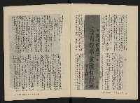 《美麗島NO.3》藏品圖，第5張