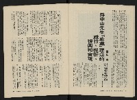 《美麗島NO.3》藏品圖，第7張