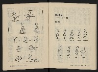 《美麗島NO.3》藏品圖，第13張