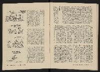 《美麗島NO.3》藏品圖，第29張