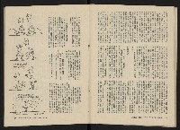 《美麗島NO.3》藏品圖，第30張