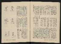 《美麗島NO.3》藏品圖，第32張