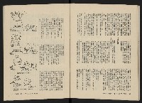 《美麗島NO.3》藏品圖，第33張