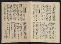 《美麗島NO.3》藏品圖，第38張