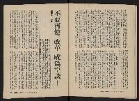 《美麗島NO.3》藏品圖，第40張