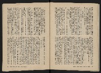 《美麗島NO.3》藏品圖，第41張