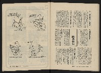 《美麗島NO.3》藏品圖，第57張
