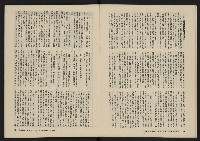 《美麗島NO.4》藏品圖，第7張