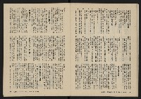 《美麗島NO.4》藏品圖，第18張