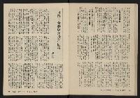 《美麗島NO.4》藏品圖，第30張