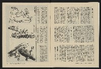 《大時代NO.12》藏品圖，第11張