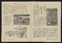 《大時代NO.14》藏品圖，第15張