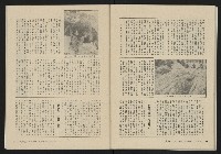 《大時代NO.14》藏品圖，第37張