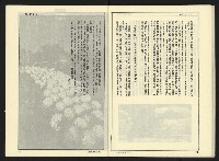 《新潮流NO.4》藏品圖，第40張