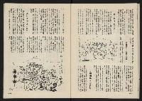 《巨橋NO.2》藏品圖，第33張