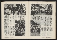 《春風雜誌NO.2》藏品圖，第41張