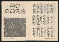 《在野NO.1》藏品圖，第13張