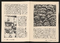 《在野NO.1》藏品圖，第41張