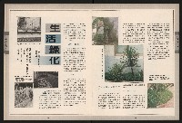 《青溪NO.363》藏品圖，第20張