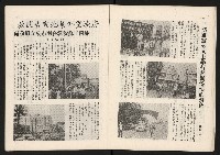 《代議士NO.10》藏品圖，第14張