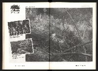 《台灣評論NO.6》藏品圖，第29張