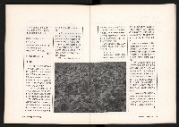 《台灣評論NO.6》藏品圖，第55張