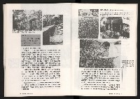 《台灣評論NO.10》藏品圖，第25張
