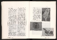 《台灣評論NO.10》藏品圖，第36張