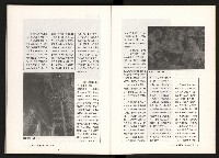 《台灣評論NO.11》藏品圖，第53張