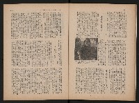 《生活與環境NO.8》藏品圖，第32張