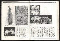 《聯合月刊N0.67》藏品圖，第31張