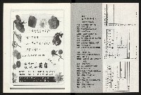 《百合台灣月刊NO.6》藏品圖，第37張