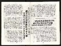 《國民黨瘋狂的信仰大迫害》藏品圖，第19張