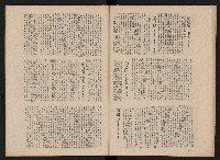 《黨外新形象》藏品圖，第7張